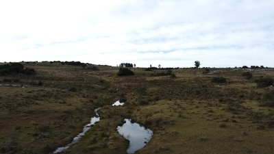 Venta de campo de 57 Has Zona las Cañas 