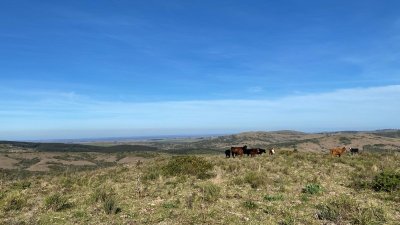 Chacras en Castillos en un fraccionamiento 
