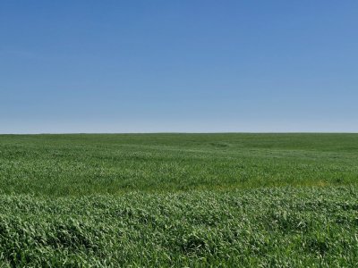 Campo en venta en Arroyo Negro | 120 hectáreas