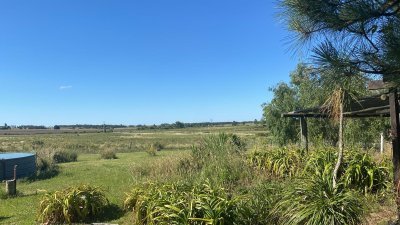Campo en venta de 41 ha en Empalme Olmos 