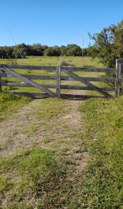 Gran campo en Las Sierras de San Miguel Rocha 