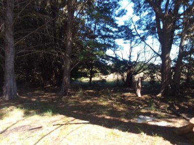 Venta de Campo en Depto Canelones