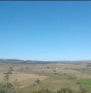 VENTA DE CAMPO 80H SOBRE LAS SIERRAS DE VILLA SERRANA,LAVALLEJA