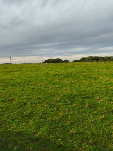 Venta de Campo de 20 Has en Pan de Azucar 