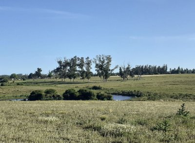 Campo en venta en Inmejorable ubicacion. 
