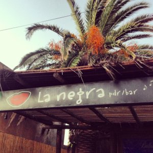 Espectacular emprendimiento 