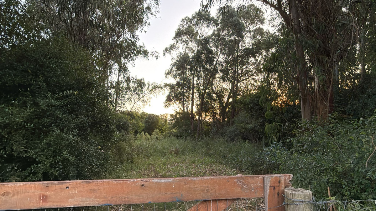 Venta de Terreno en San Luis 