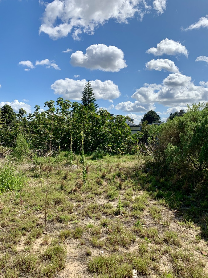 EN VENTA TERRENO EN ALTOS DEL PINAR. MALDONADO. EXCELENTE UBICACIÓN