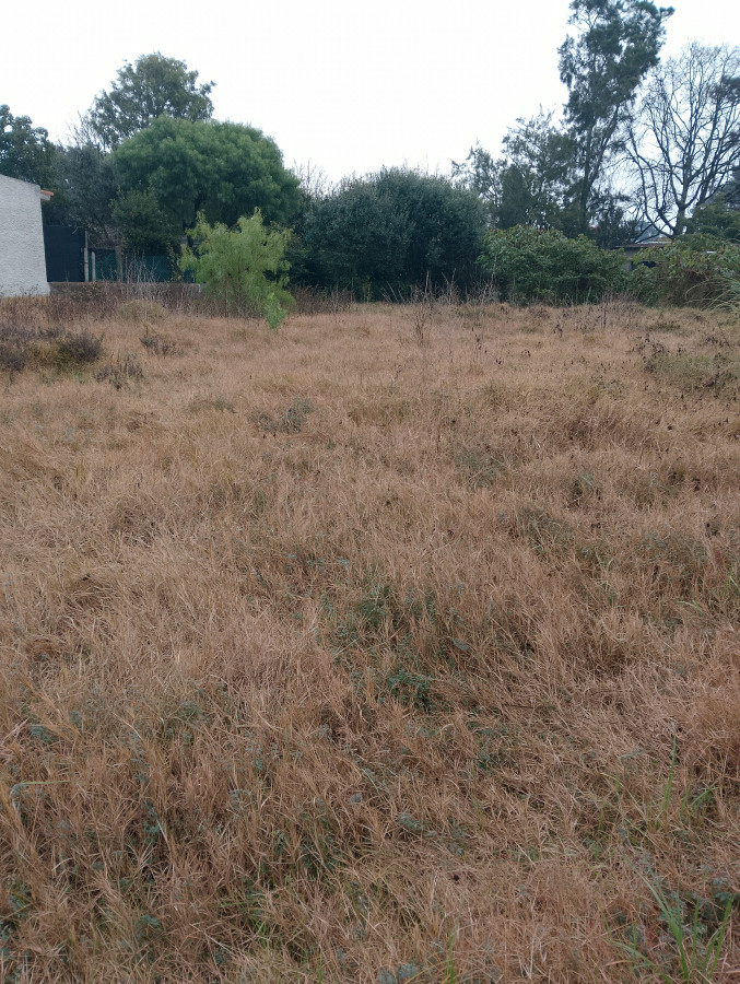 Onex Vende 2 Terrenos en Parque del Plata Sur
