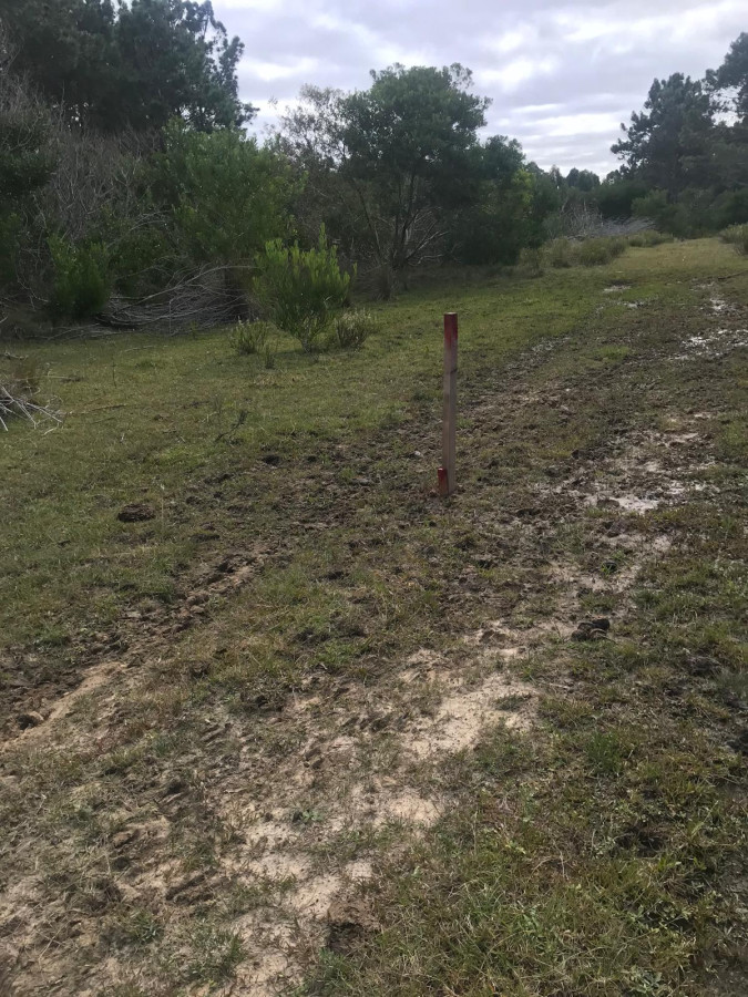 Gran Oportunidad Terreno en Balneario La Sirena Rocha 8441mt2 loteado 14 terrenos