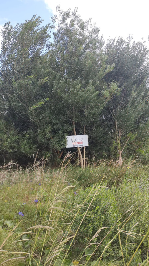 SE VENDE EXCELENTE TERRENO EN PINAMAR NORTE A 150 METROS DE LA RUTA