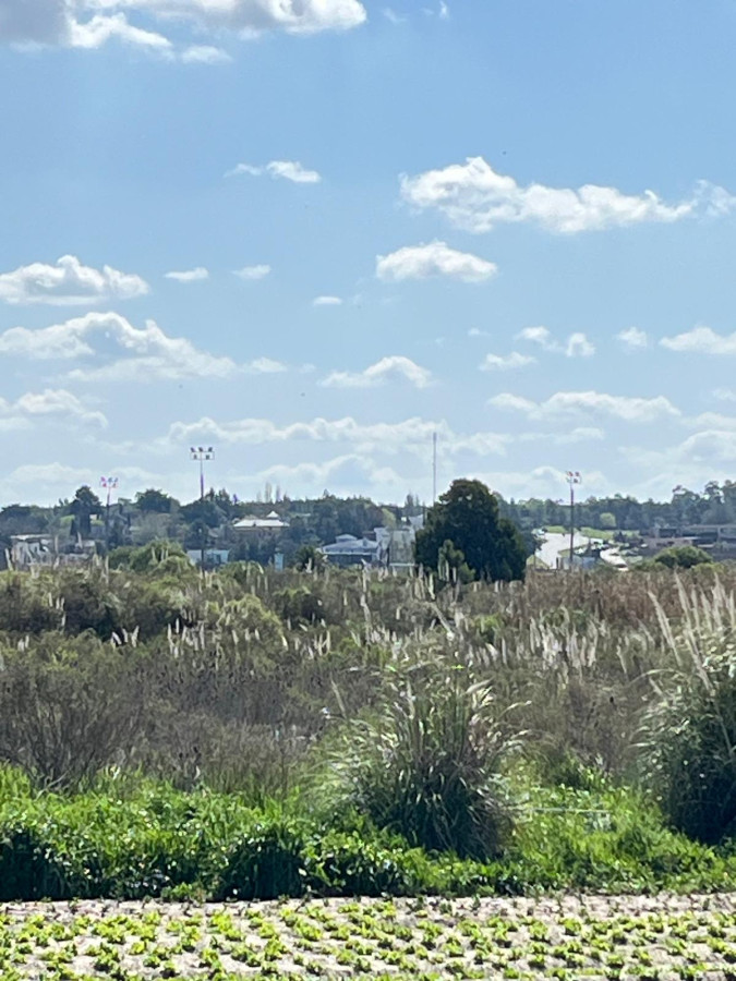 SE VENDE TERRENO DE 3 HÁS ZONA BARRIOS PRIVADOS CANELONES 
