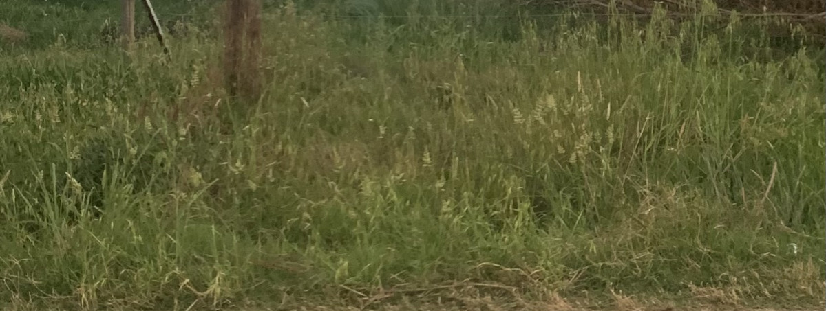 Venta de Terreno Sobre Calle Principal Salinas Norte 
