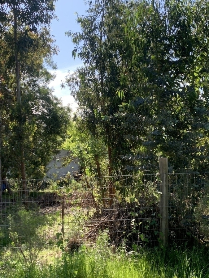 Terreno en Venta Piriapolis 