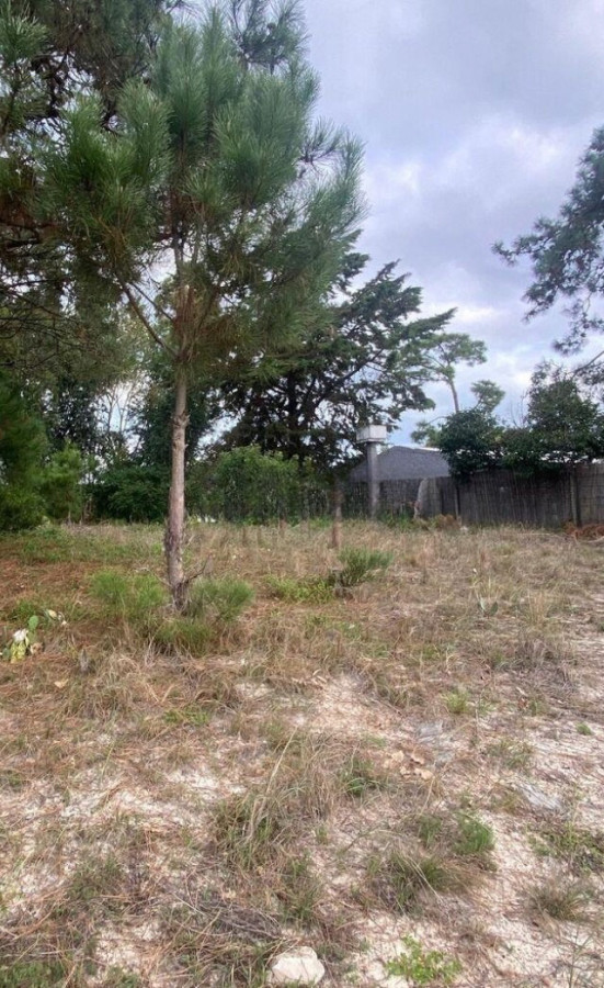 Terreno Amplio en El Pinar