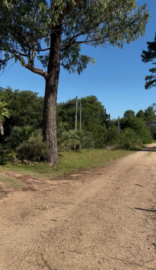 SE VENDE TERRENO EN OCEAN PARK