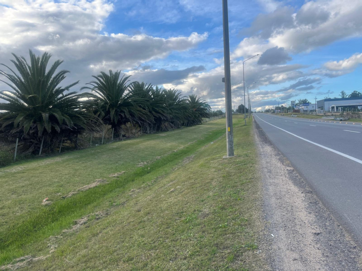 Terreno en venta sobre ruta 9 ,Rocha. Excelente oportunidad de inversión en ubicación estratégica.