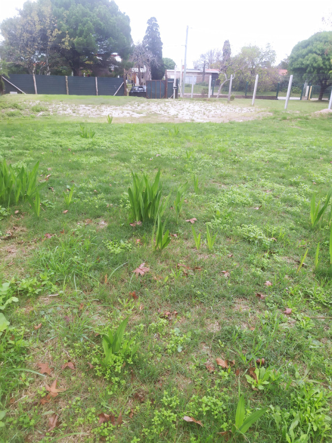 Venta de terreno en Atlántida, con vista despejada, alto y limpio