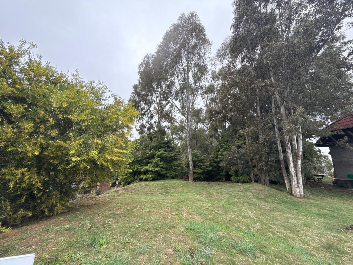Se vende terreno frente a ruta interbalnearia en Atlántida