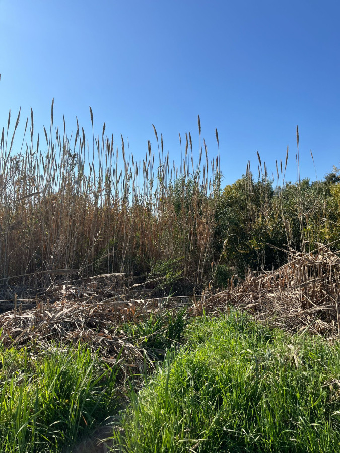 TERRENO SUBURBANO COSTAPLAN, EL PINAR, CIUDAD DE LA COSTA