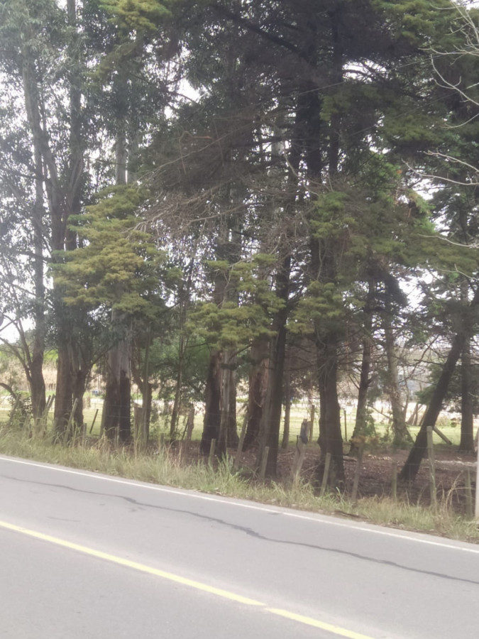 Terreno En Venta Ultimo Lote próximo a Car One