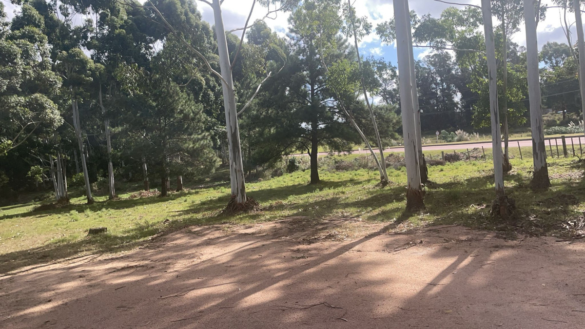 Venta de lotes espectaculares en Jrdines Del Diario sobre Avenida Lusich 