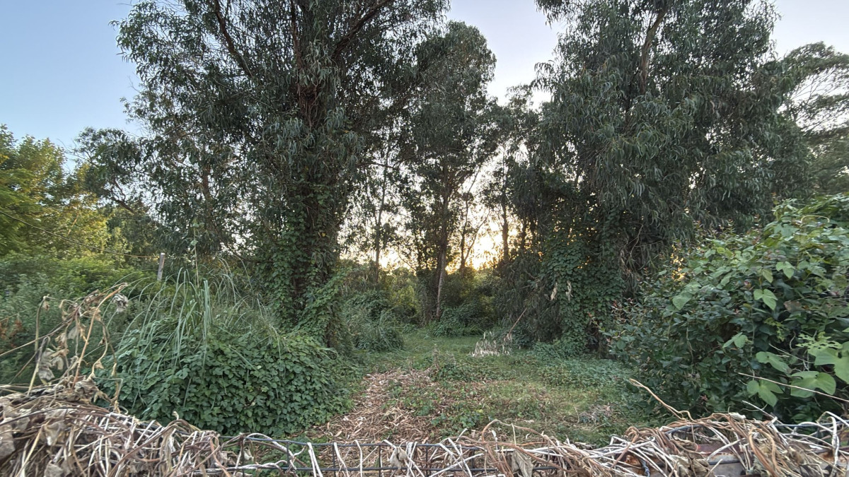 Venta de terreno 