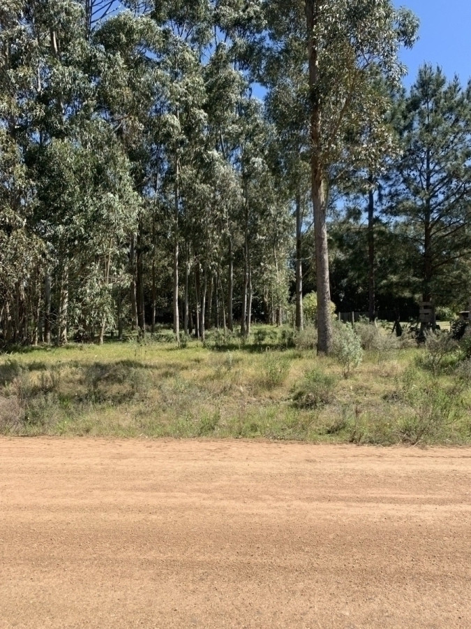 Terreno en Venta Maldonado