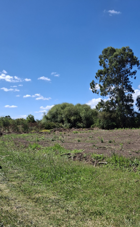 Se vende lote de terrenos en ciudad de Rocha.