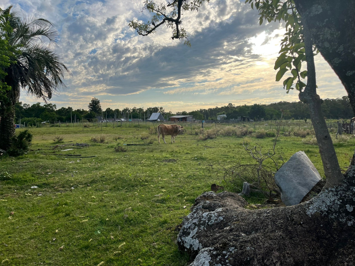 Se vende terreno de 3200 m en Los molles Tacuarembó 
