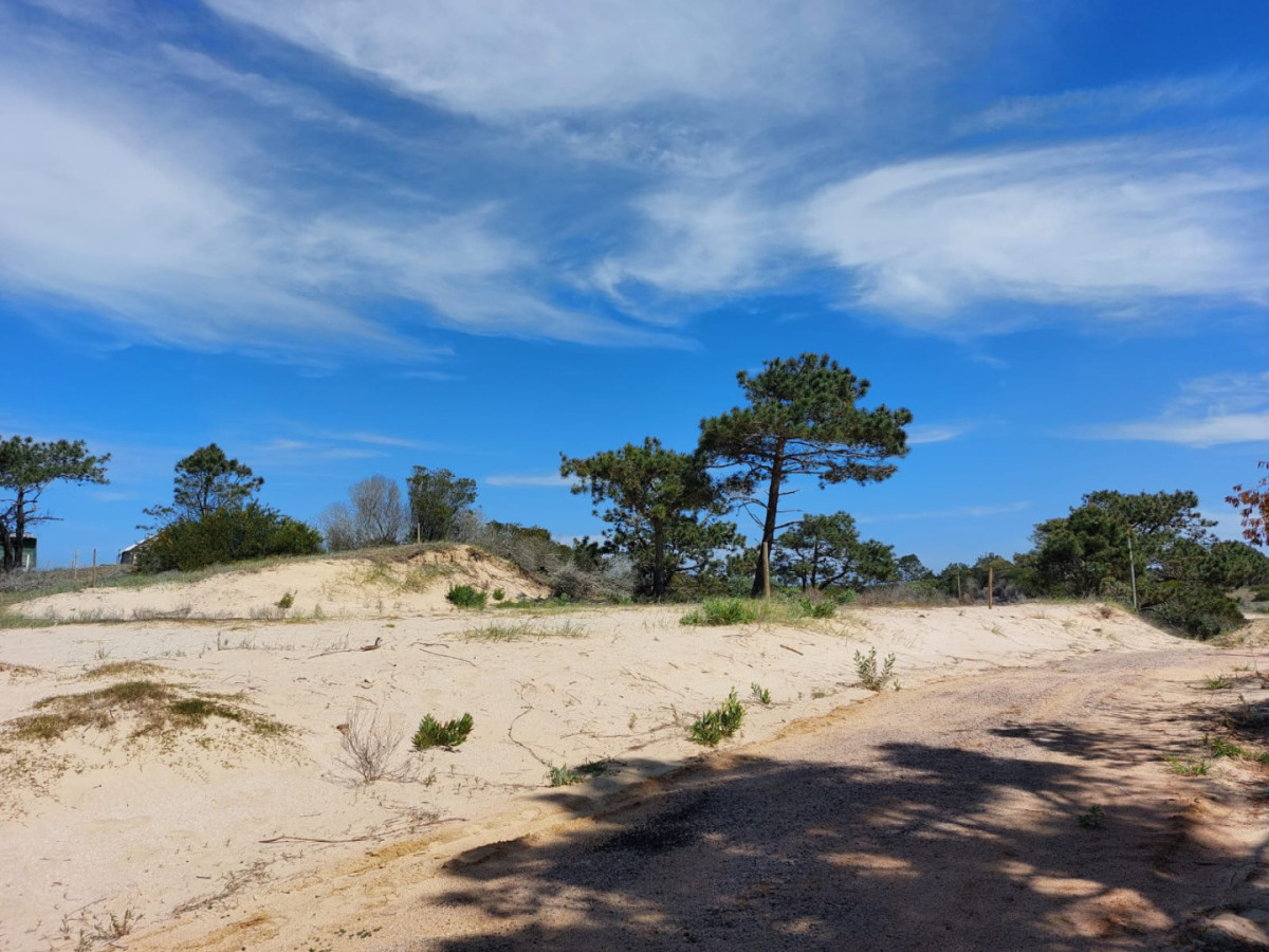 Espectacular terrenos 