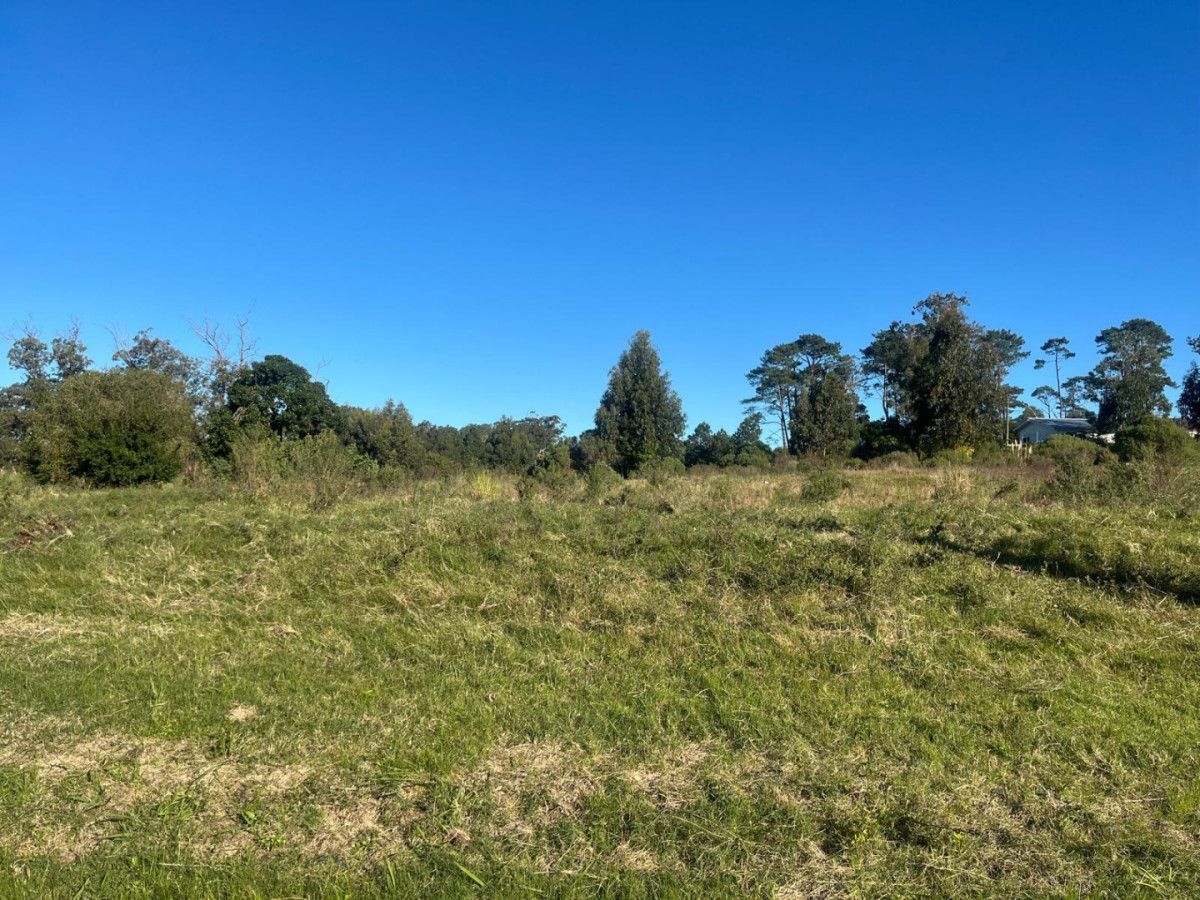 Vendo terreno en Barrio Golf de 1.577 m2 , entrega 50% y financia el resto.