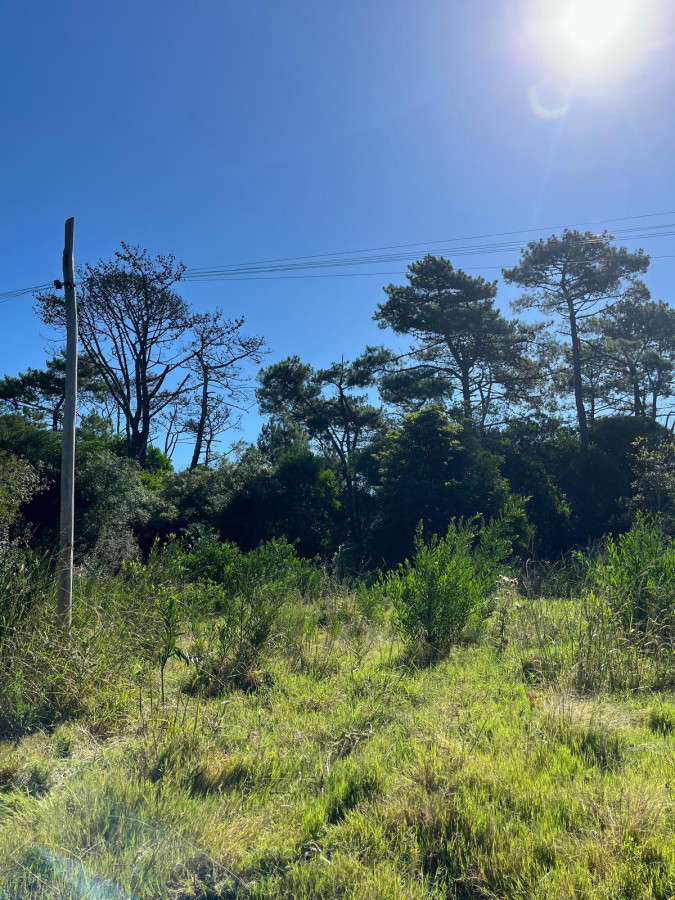 SE VENDE TERRENO EN OCEAN PARK