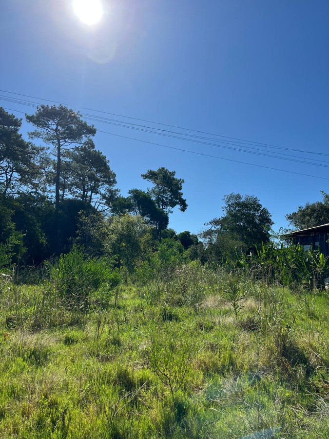 SE VENDE TERRENO EN OCEAN PARK