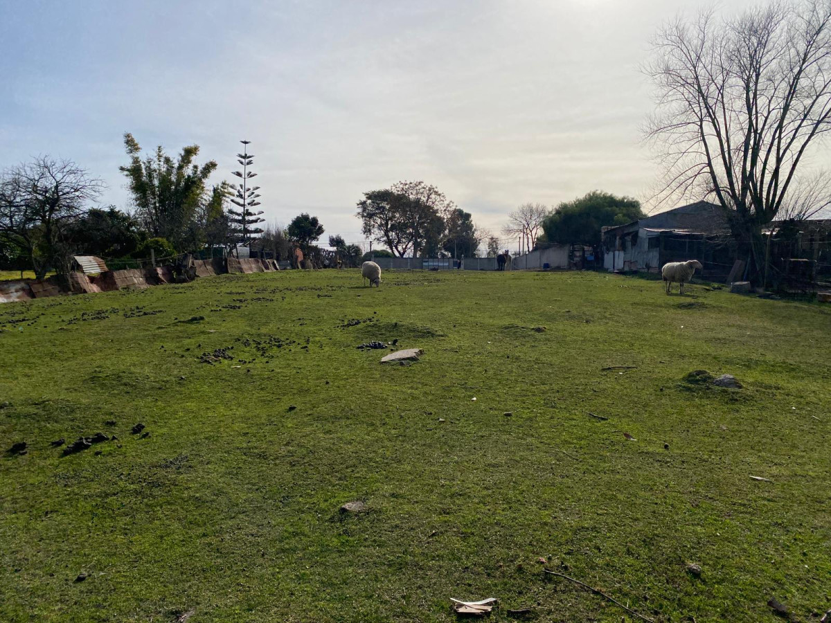 Venta Terreno Listo para construir 1909m²