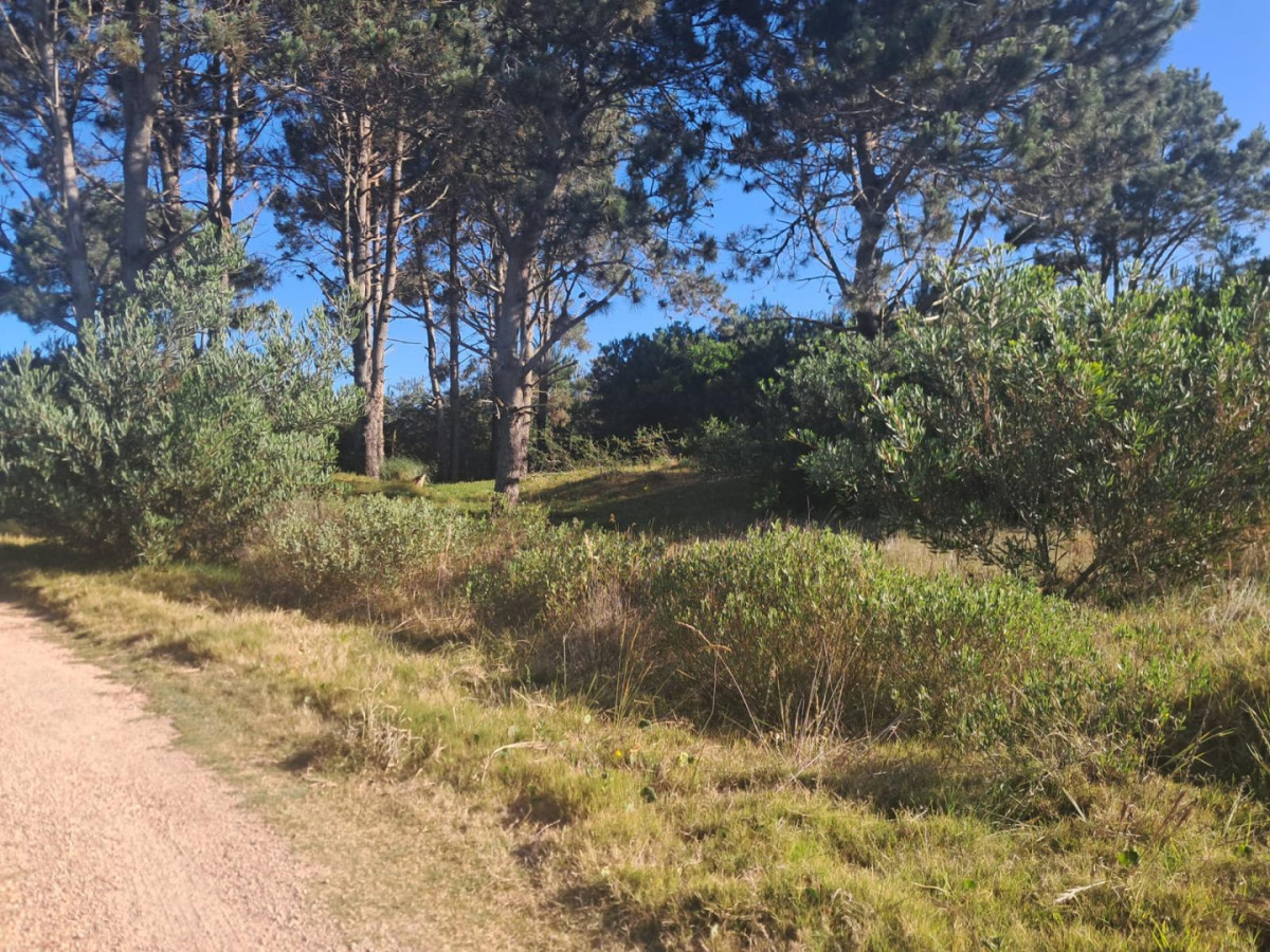 Se vende terreno en Punta del Diablo