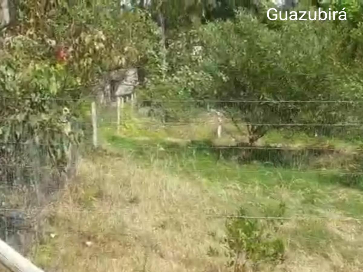 Vendo terreno  en Guazuvirá