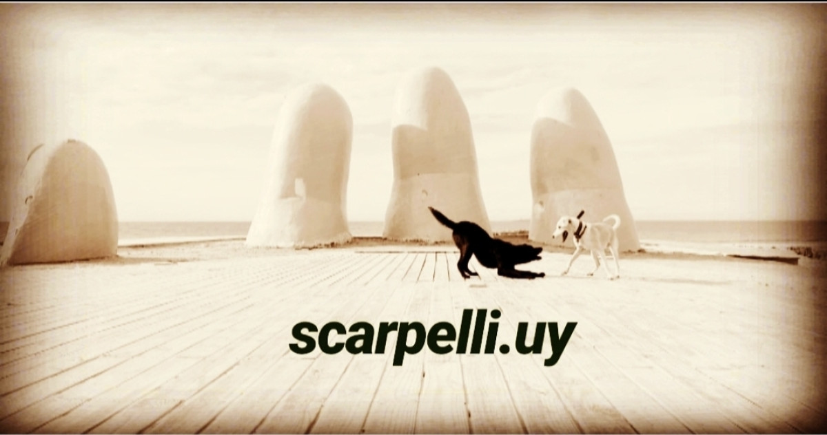 Surfside: Estrene 2021 Frente al Océano y con la Mejor Vista de la Barra & Arroyo Maldonado