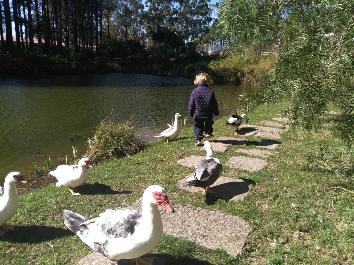 Apartamentos como a Estrenar en Barrio Privado con el mejor parquizado de la zona en un entorno exclusivo y apacible