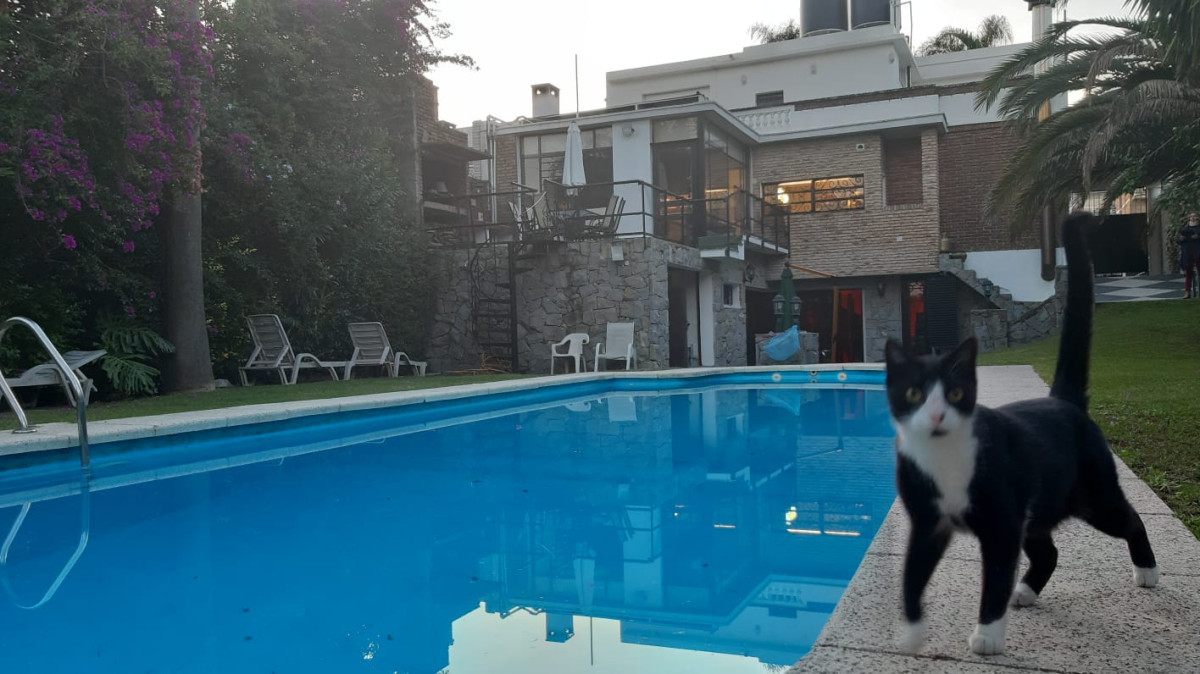Importante Residencia de estilo Sureño Americano con importante terreno y casi 400 m2 edificados.-