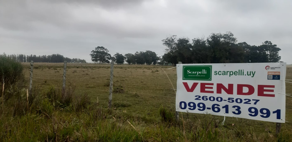 Chacras exclusivas en la Ruta 10 muy proximo al acceso a Cabo Polonio y con fondos a la Laguna de Castillos.-