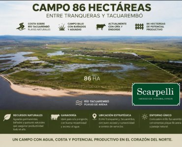 VENTA CAMPO RIVERA 86 Hás Costa Rio Tacuarembó Ideal Cultivos Húmedos Arroz Soja etc.