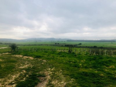 Interesantes Opciones de Campos Próximos a Ruta 9 & San Carlos con Excelentes Mejoras.-