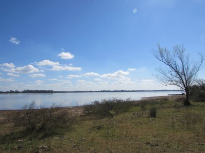 Artigas Bella Unión Exclusiva Chacra 11 hás a mts. del Río Uruguay y Frente al Futuro Puente Monte Caseros / Bella Unión