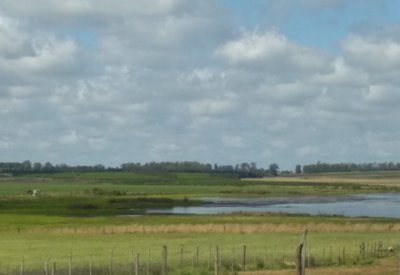 VENTA CAMPO BELLA UNION ARTIGAS