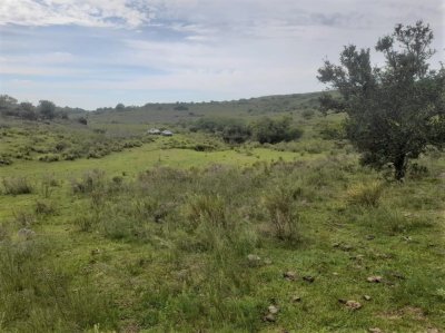 VENTA CAMPO TACUAREMBÓ PRÓXIMO PASO DEL CERRO  213 HÁS CON COSTA ARROYO CARPINTERÍA E IMPORTANTE MONTE INDÍGENA.-