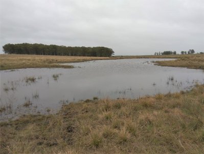 Estupendo Campo Agrícola Ganadero proximo a Ruta 5 y Ciudad de Durazno