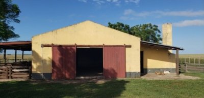Venta Campo Artigas 911 hás Ganadero Bueno próximo Baltasar Brum con instalaciones de trabajo.-