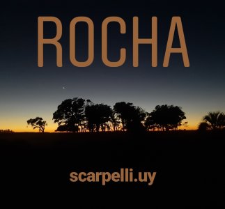 Venta Campo Rocha Palmares de la Coronilla 425 hás oceánicas