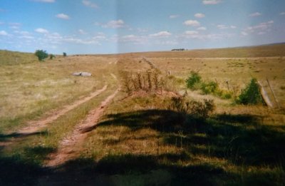 Campo de 106 hás en Florida: Arroyo Cabrera a 14 kms Ruta 7:  U S 2900 / há